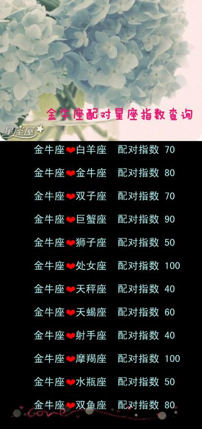 金牛座一生最爱2个星座图标