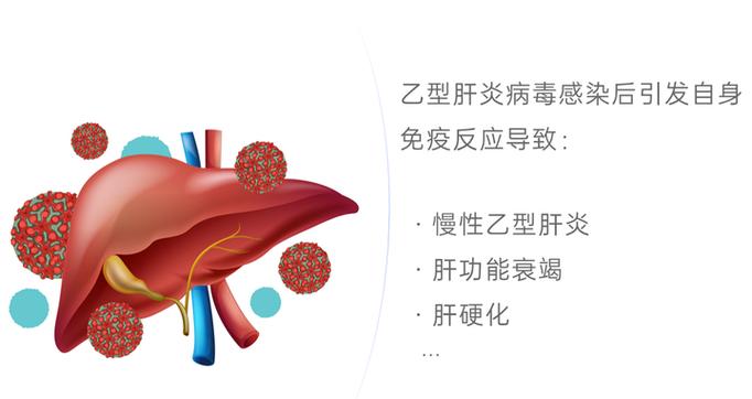 乙肝可以吃益生菌吗图标