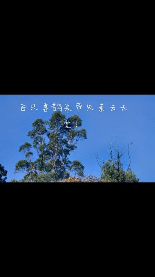 天堂引路人为什么受欢迎图标