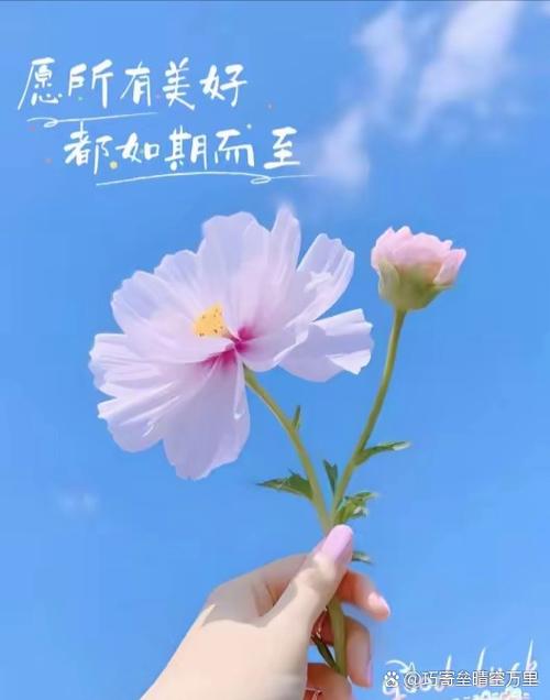 充满阳光正能量的图片缩略图