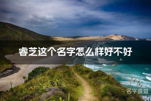 带芝字的高雅名字图标
