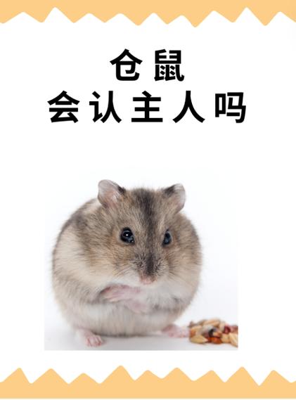 袋熊养久了会认主人吗游戏截图