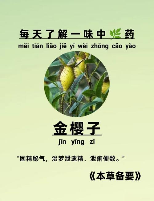 叁拾陆味黄金油的功效与作用缩略图
