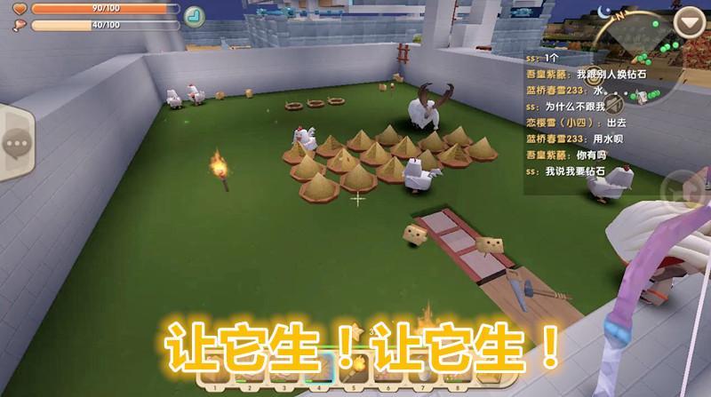 迷你世界鸡吃什么才能生下小宝宝缩略图