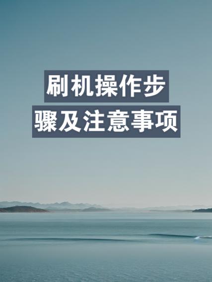 手机刷机前应该做什么准备游戏截图