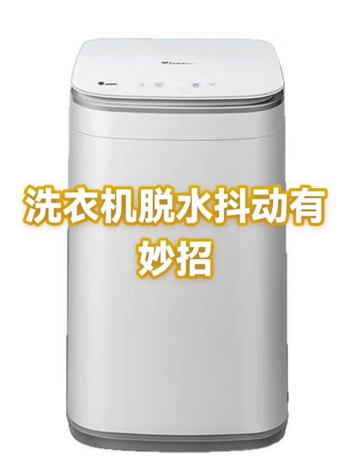 洗衣机脱水抖动太剧烈怎么维修游戏截图