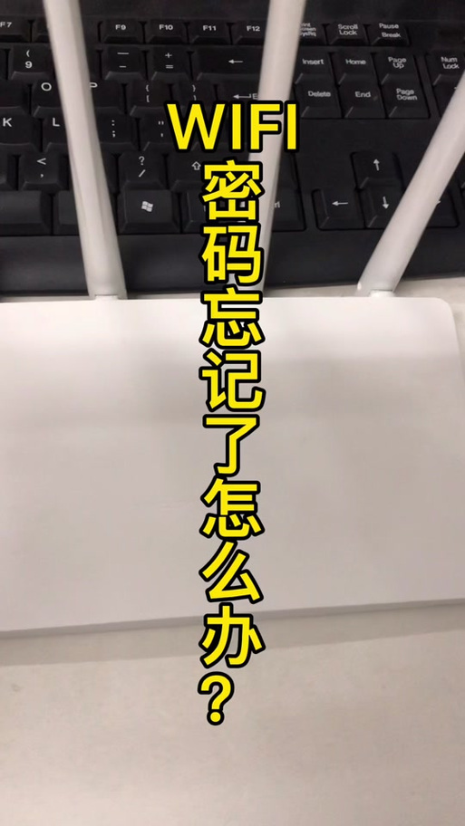盯盯拍wifi密码忘记了怎么办游戏截图