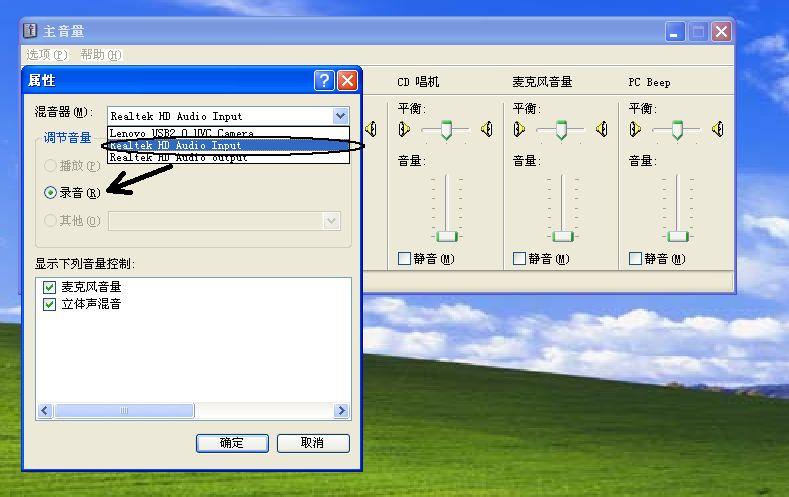 为什么我的电脑麦克风不能说话了游戏截图