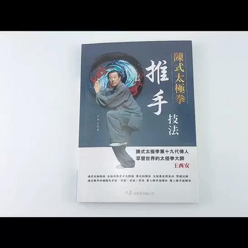 太极拳十大名师介绍图标