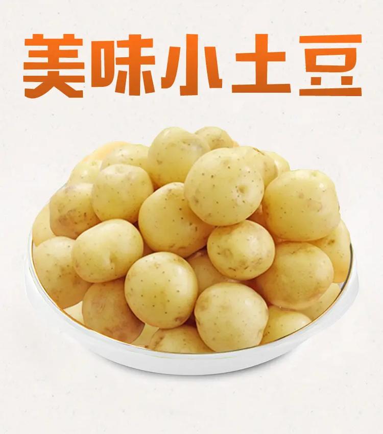 小土豆官网下载游戏截图