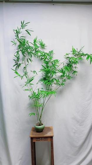 节节高升和步步高升的区别缩略图