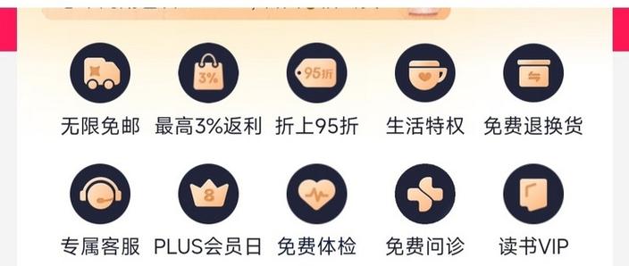plus包月会员是什么意思图标