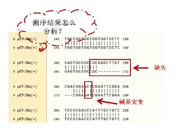 eb病毒dna阳性会转阴吗缩略图