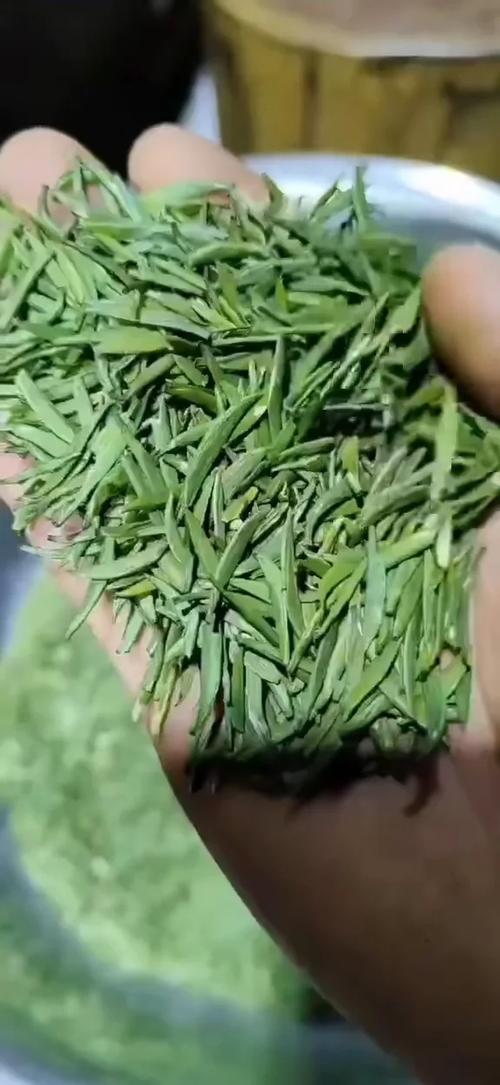 竹叶青泡水喝的功效与作用游戏截图