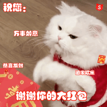 表情包动态图片谢谢你的红包游戏截图