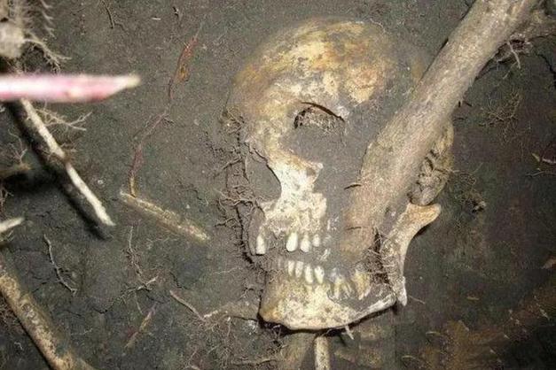 死人骨头可怕吗游戏截图