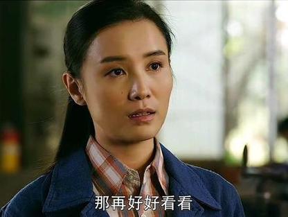 张嘉译宋佳演的电视剧