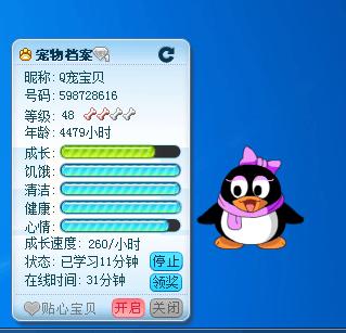 qq宠物在哪里打开缩略图