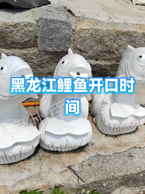 鲤鱼最佳开口时间缩略图