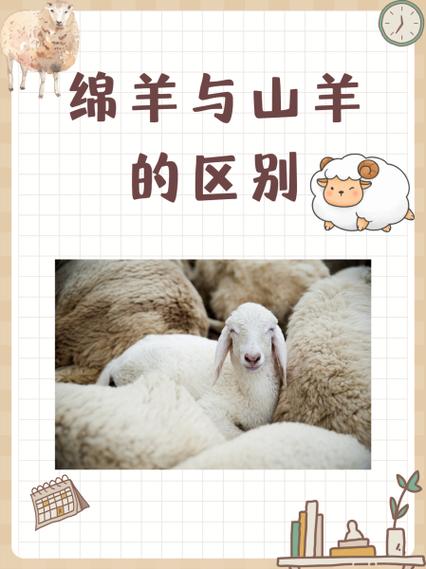 绵羊的角是什么样子图标