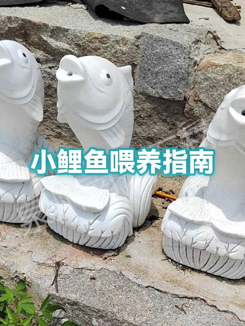 怎样正确的喂养鱼儿缩略图