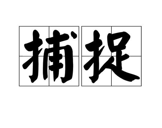 傻瓜相机可以看到自己拍的吗图标