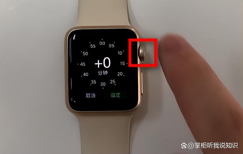 苹果手表的简体中文设置方法图标