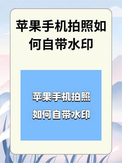 苹果11手机拍照发黄怎么调图标
