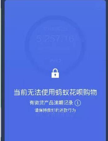 商家收款码怎么不能用花呗支付图标