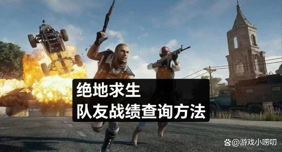 吃鸡怎么清除个人战绩缩略图