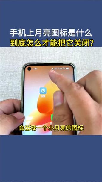手机电量旁边有个小月亮图标