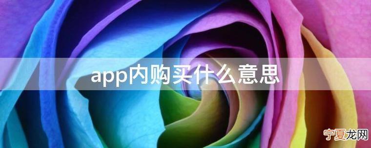 下载软件app内购买什么意思图标
