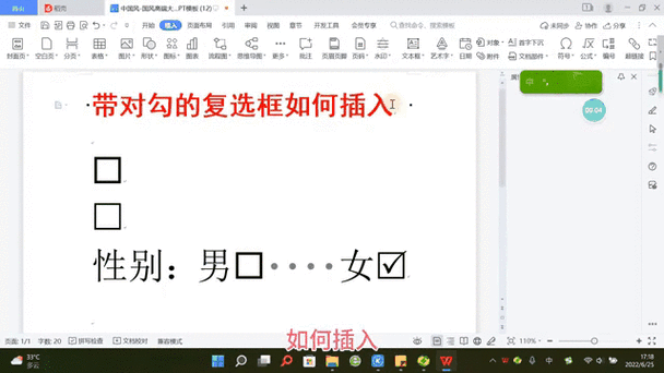 wps复选框可以嵌入单元格吗图标