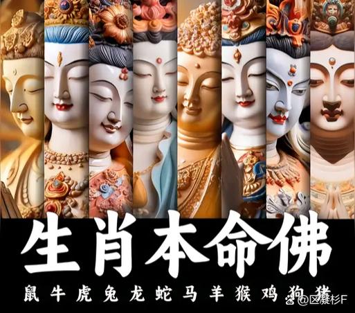 十二生肖和佛菩萨的关系
