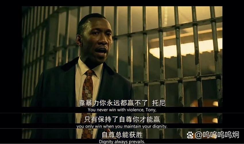 电影《绿皮书》在线观看完整版免费游戏截图