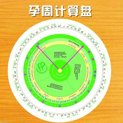 怎么算自己怀孕几周图标