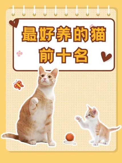 十大新手最好养的猫又便宜缩略图