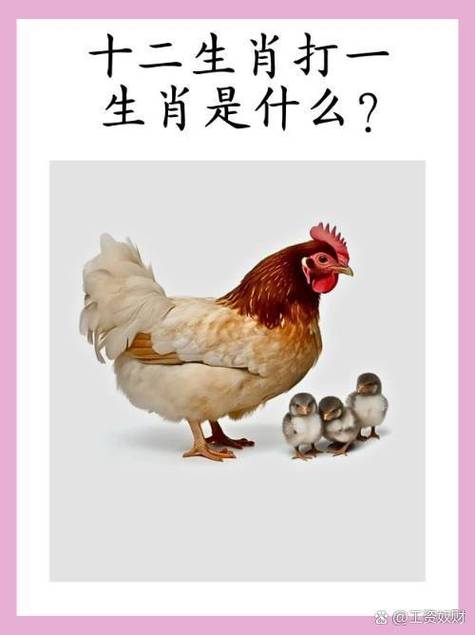 馋人打生肖图标