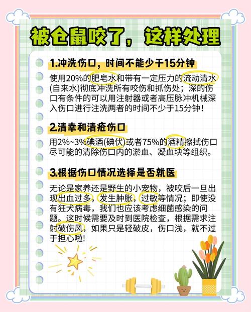小孩子被仓鼠咬了缩略图