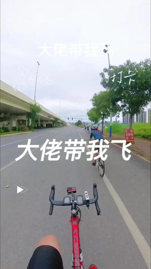 如何回复别人的带我飞缩略图