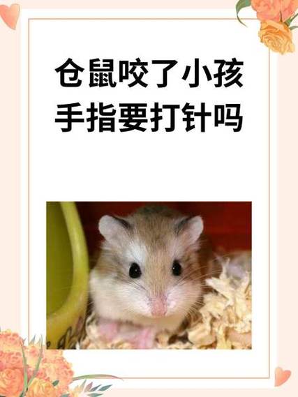 被仓鼠咬了有潜伏期吗缩略图