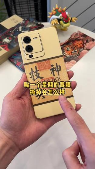 手机后面的膜可以撕掉吗游戏截图
