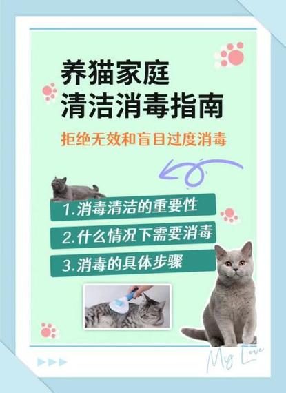 家里养猫如何保持卫生干净游戏截图