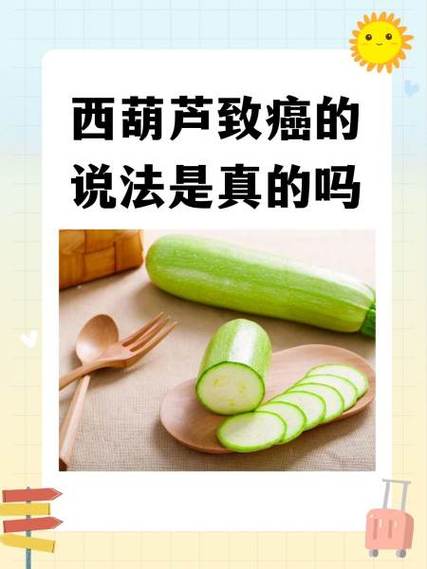 西葫芦致癌吗是真的吗缩略图