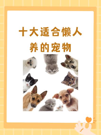 懒人宠物便宜又好养缩略图