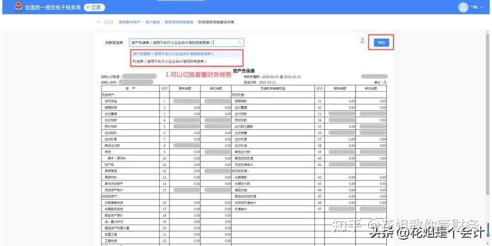 怎么在税务系统查资产负债表缩略图