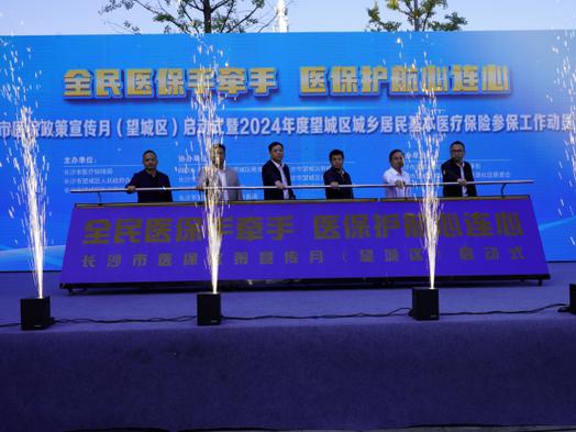 长沙市医保局沈光曾在望城任什么职游戏截图