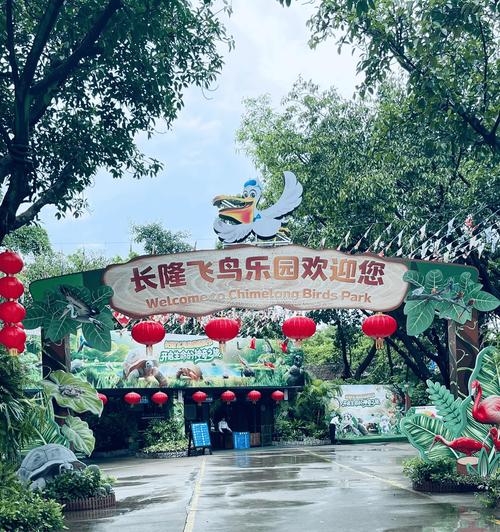 飞鸟分期在哪里找到入口缩略图
