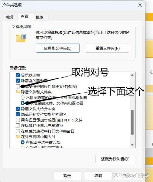 下载ps后一放照片就闪退的解决方法缩略图