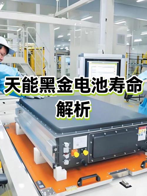 天能周转电池能撑几年游戏截图